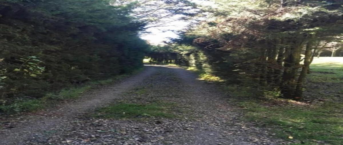 Foto de terreno habitacional en venta en  , tlazala, isidro fabela, méxico, 0 No. 05