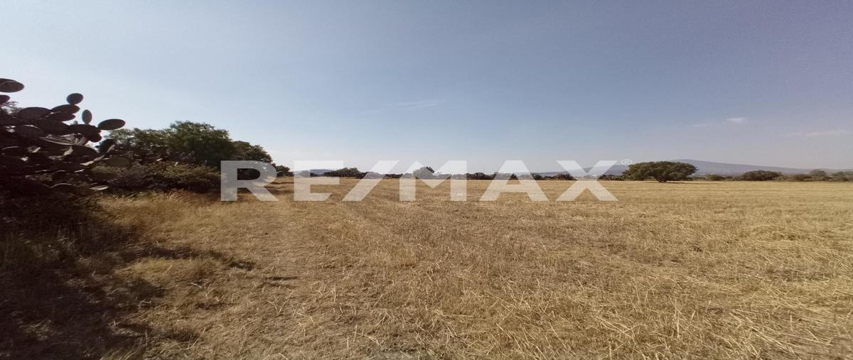 Foto de terreno habitacional en venta en tlexpan , san felipe teotitlán centro, nopaltepec, méxico, 0 No. 03
