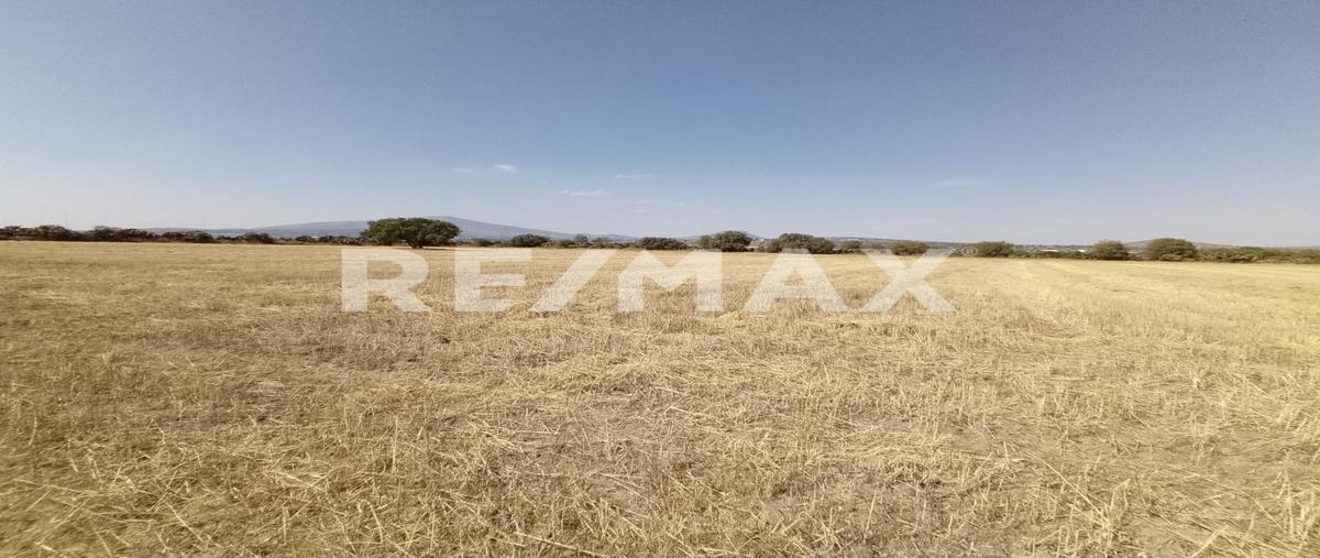 Foto de terreno habitacional en venta en tlexpan , san felipe teotitlán centro, nopaltepec, méxico, 0 No. 04