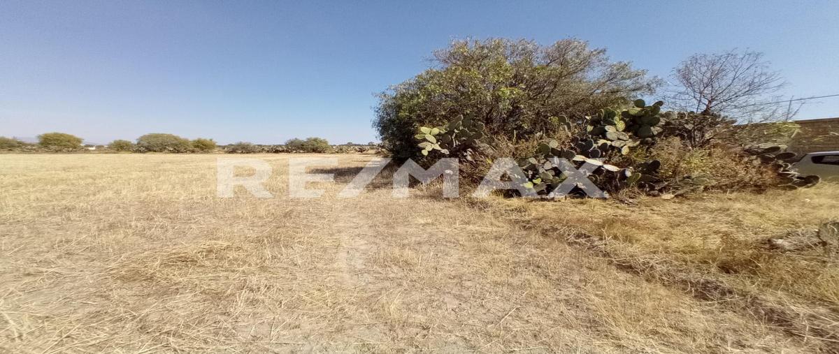 Foto de terreno habitacional en venta en tlexpan , san felipe teotitlán centro, nopaltepec, méxico, 0 No. 05