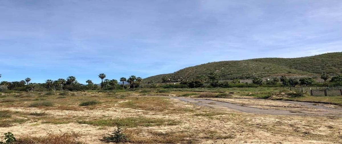 Foto de terreno habitacional en todo santos land for your farm todos santos , centro, la paz, baja california sur, 28572748 foto 01 Foto de terreno habitacional en venta en todo santos land for your farm todos santos , centro, la paz, baja california sur, 28572748 No. 01