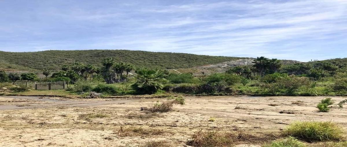 Foto de terreno habitacional en todo santos land for your farm todos santos , centro, la paz, baja california sur, 28572748 foto 05 Foto de terreno habitacional en venta en todo santos land for your farm todos santos , centro, la paz, baja california sur, 28572748 No. 05