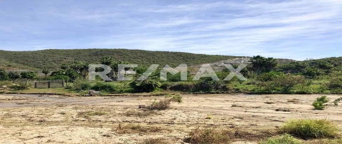 Foto de terreno habitacional en todo santos land for your farm todos santos , centro, la paz, baja california sur, 0 foto 05 Foto de terreno habitacional en venta en todo santos land for your farm todos santos , centro, la paz, baja california sur, 0 No. 05