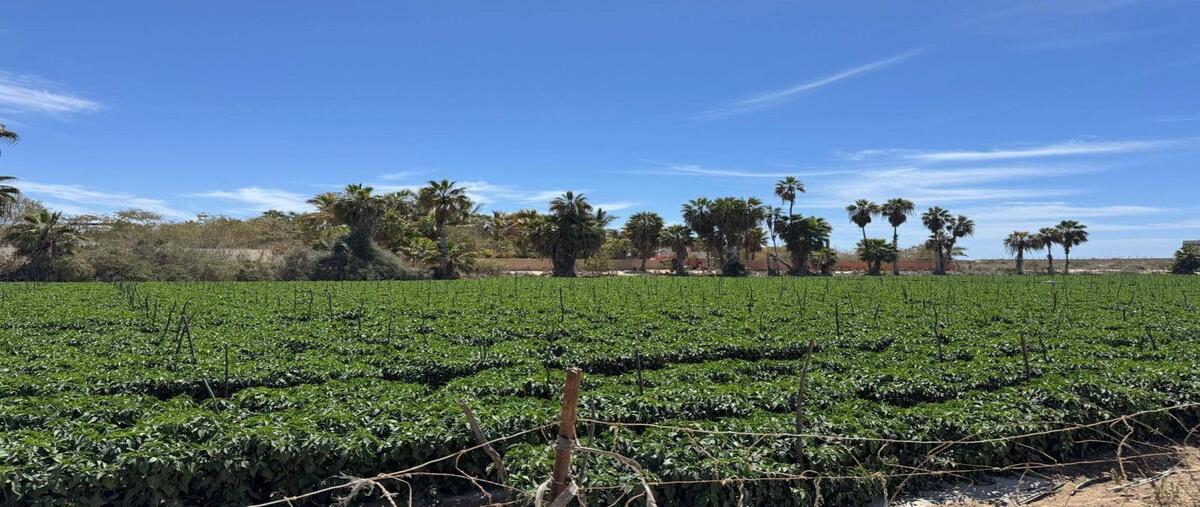 Foto de terreno comercial en venta en todos santos , pueblo nuevo, la paz, baja california sur, 0 No. 04