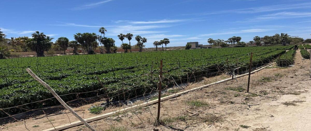 Foto de terreno comercial en venta en todos santos , pueblo nuevo, la paz, baja california sur, 0 No. 05