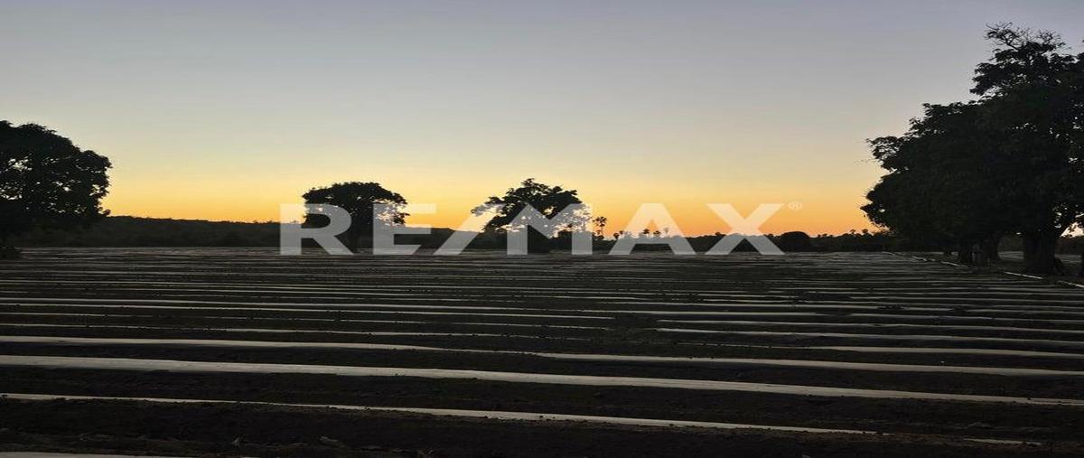 Foto de terreno habitacional en venta en todos santos rancho cañada honda calle pitahaya, la paz , el pescadero, la paz, baja california sur, 0 No. 04