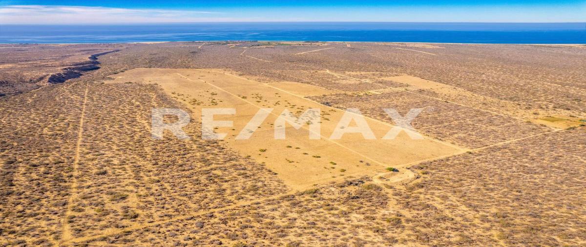 Foto de terreno habitacional en venta en todos santos rancho santa cruz calle las playitas, la paz , el pescadero, la paz, baja california sur, 29075287 No. 02