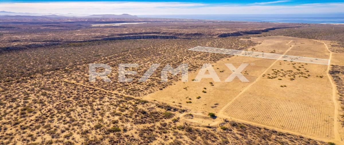Foto de terreno habitacional en venta en todos santos rancho santa cruz calle las playitas, la paz , el pescadero, la paz, baja california sur, 29075287 No. 04