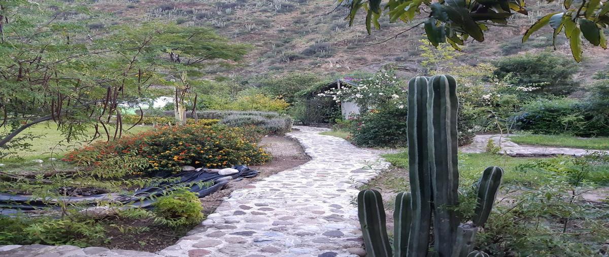Foto de rancho en venta en  , tolimán, tolimán, querétaro, 30978721 No. 03