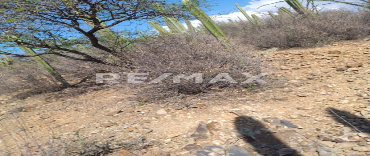 Foto de terreno habitacional en venta en tolimán , tolimán, tolimán, querétaro, 0 No. 05