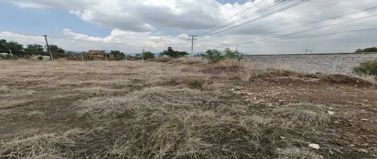 Foto de terreno comercial en venta en  , tolteca teopan, tepetlaoxtoc, méxico, 0 No. 03