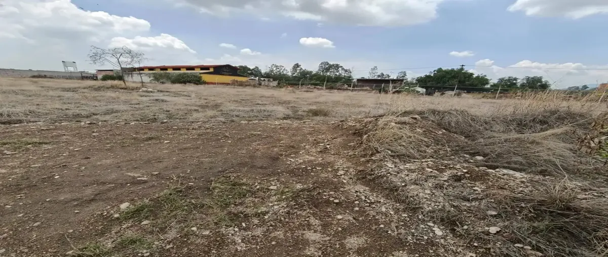 Foto de terreno comercial en venta en  , tolteca teopan, tepetlaoxtoc, méxico, 0 No. 04