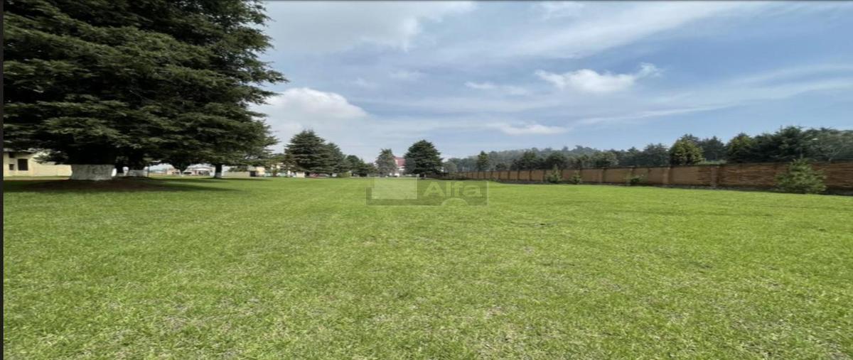 Foto de terreno habitacional en venta en toluca - tenango de arista 801, san lorenzo coacalco, metepec, méxico, 25818054 No. 03