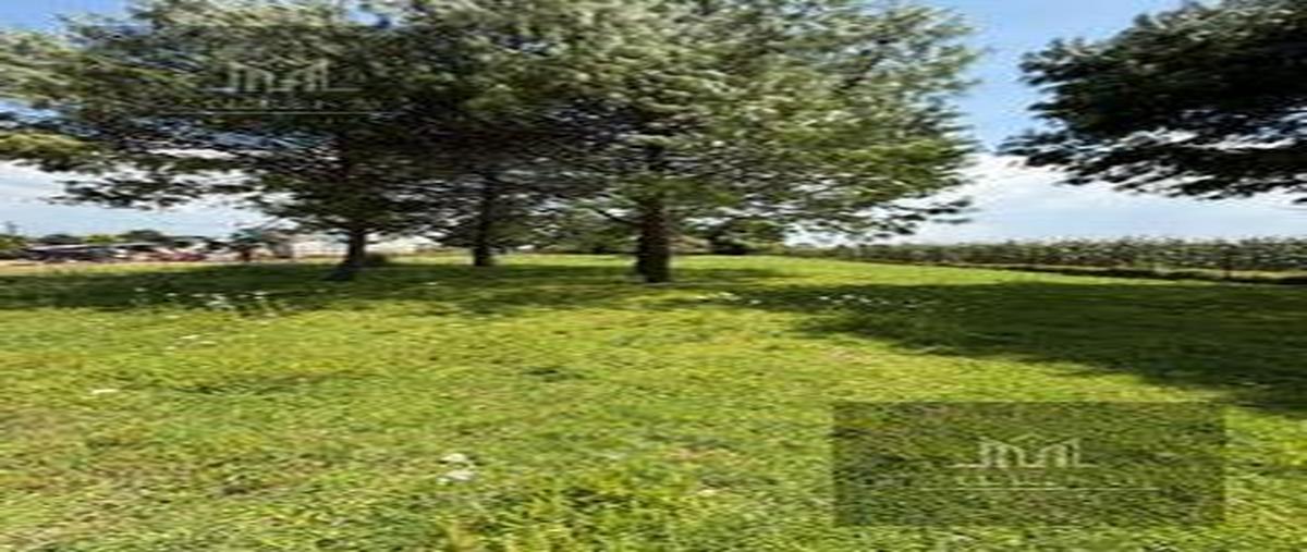 Foto de terreno habitacional en venta en  , toluca, toluca, méxico, 30334716 No. 03