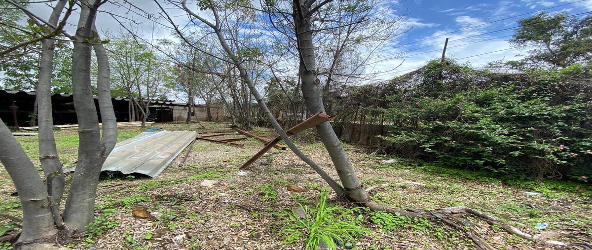 Foto de terreno habitacional en renta en  , toluquilla, san pedro tlaquepaque, jalisco, 0 No. 04