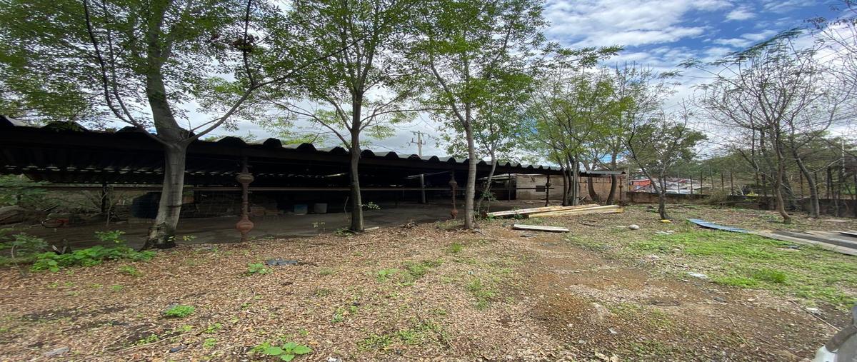 Foto de terreno habitacional en renta en  , toluquilla, san pedro tlaquepaque, jalisco, 0 No. 05