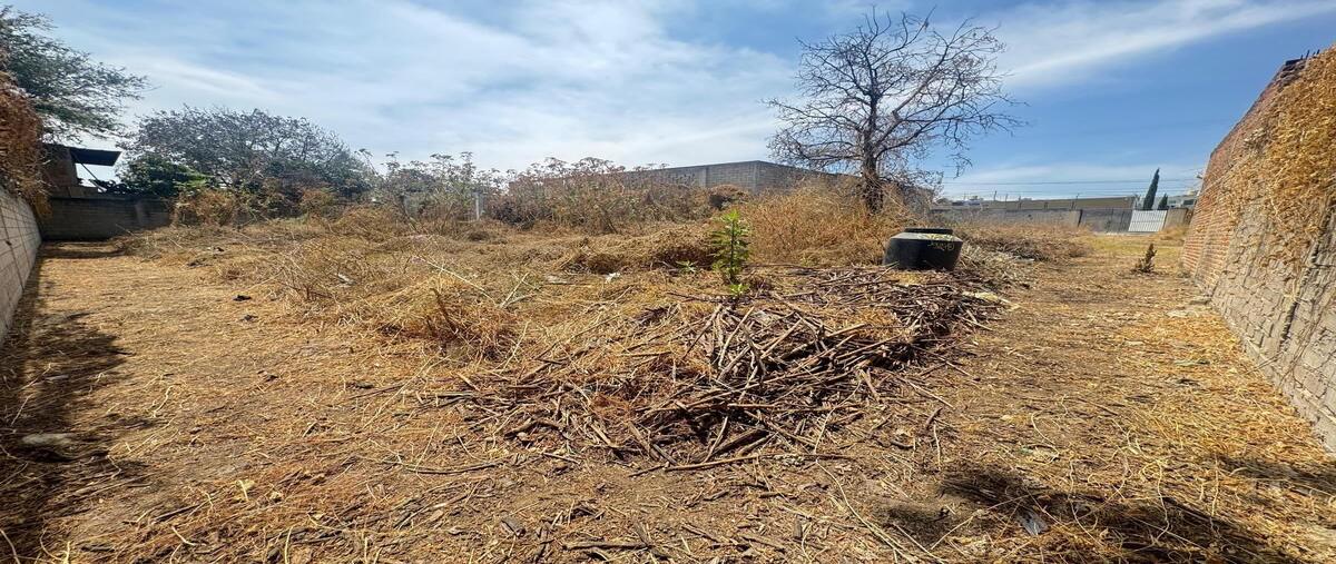 Foto de terreno habitacional en venta en tomate , mesa colorada poniente, zapopan, jalisco, 29387260 No. 02