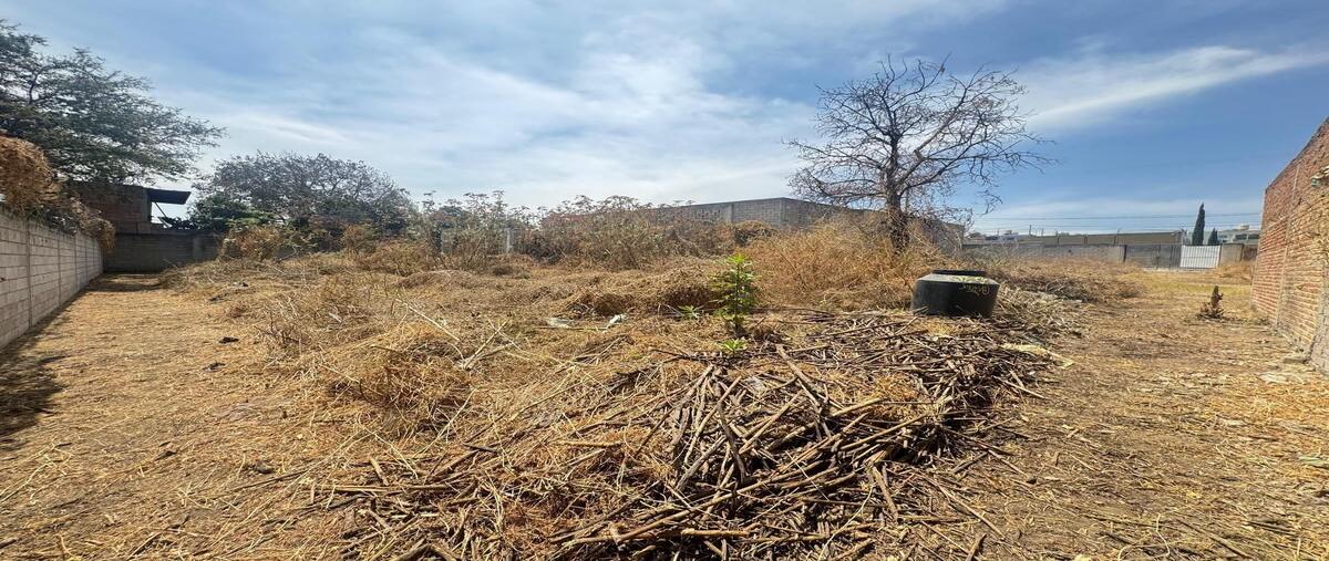 Foto de terreno habitacional en venta en tomate , mesa colorada poniente, zapopan, jalisco, 29387260 No. 04
