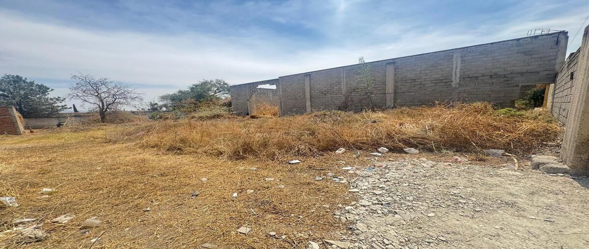 Foto de terreno habitacional en venta en tomate , mesa colorada poniente, zapopan, jalisco, 29387260 No. 05