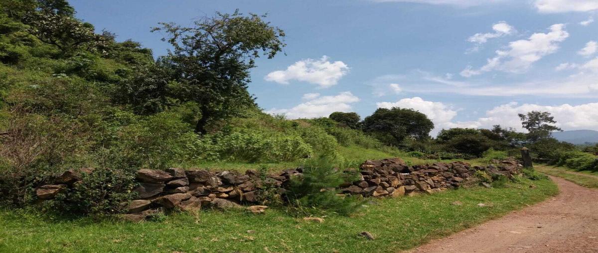Foto de terreno habitacional en venta en tombero 7, tombero, zacapu, michoacán de ocampo, 0 No. 02