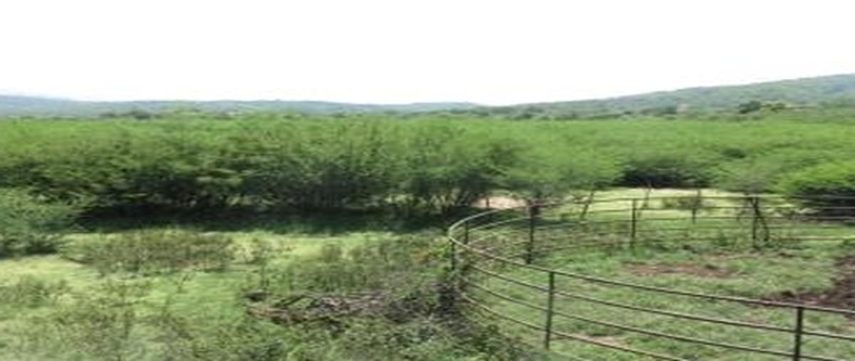 Foto de rancho en , tonalapa del sur, tepecoacuilco de trujano, guerrero, 30543496 foto 04 Foto de rancho en venta en , tonalapa del sur, tepecoacuilco de trujano, guerrero, 30543496 No. 04