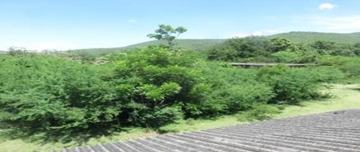 Foto de rancho en , tonalapa del sur, tepecoacuilco de trujano, guerrero, 30543496 foto 05 Foto de rancho en venta en , tonalapa del sur, tepecoacuilco de trujano, guerrero, 30543496 No. 05