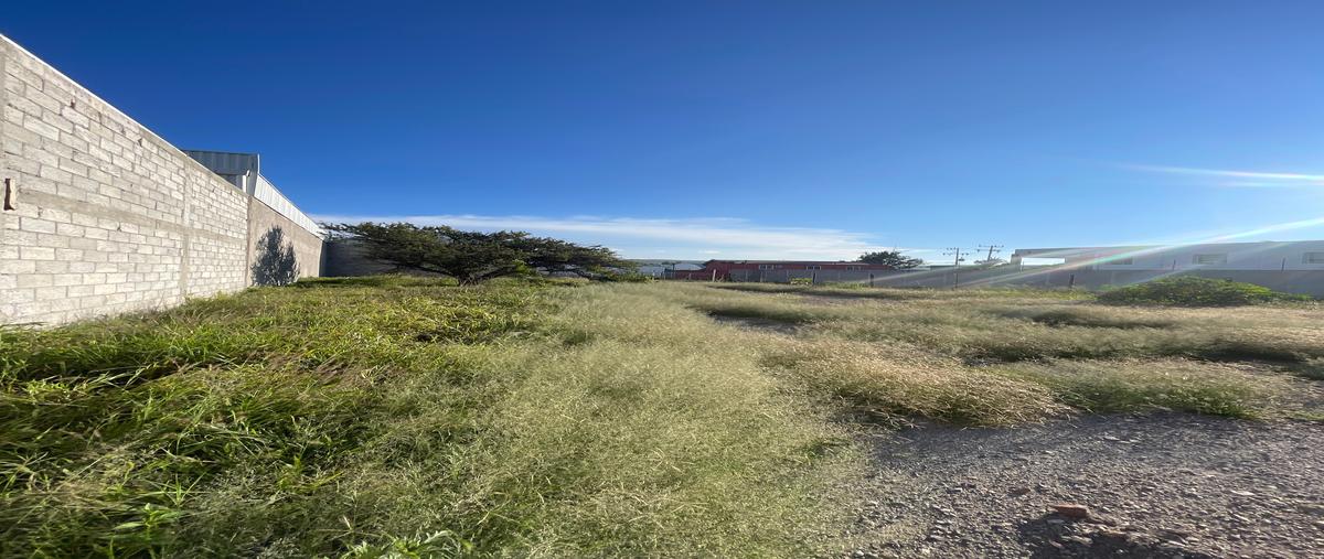 Foto de terreno industrial en renta en tonanzin , cumbres de conín tercera sección, el marqués, querétaro, 0 No. 05