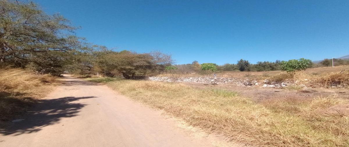 Foto de terreno habitacional en venta en  , tonila, tonila, jalisco, 0 No. 04