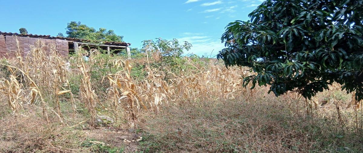 Foto de terreno habitacional en , tonila, tonila, jalisco, 0 foto 01 Foto de terreno habitacional en venta en , tonila, tonila, jalisco, 0 No. 01