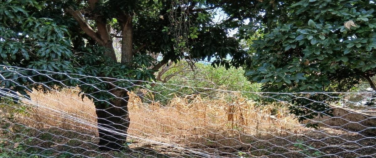 Foto de terreno habitacional en , tonila, tonila, jalisco, 0 foto 02 Foto de terreno habitacional en venta en , tonila, tonila, jalisco, 0 No. 02