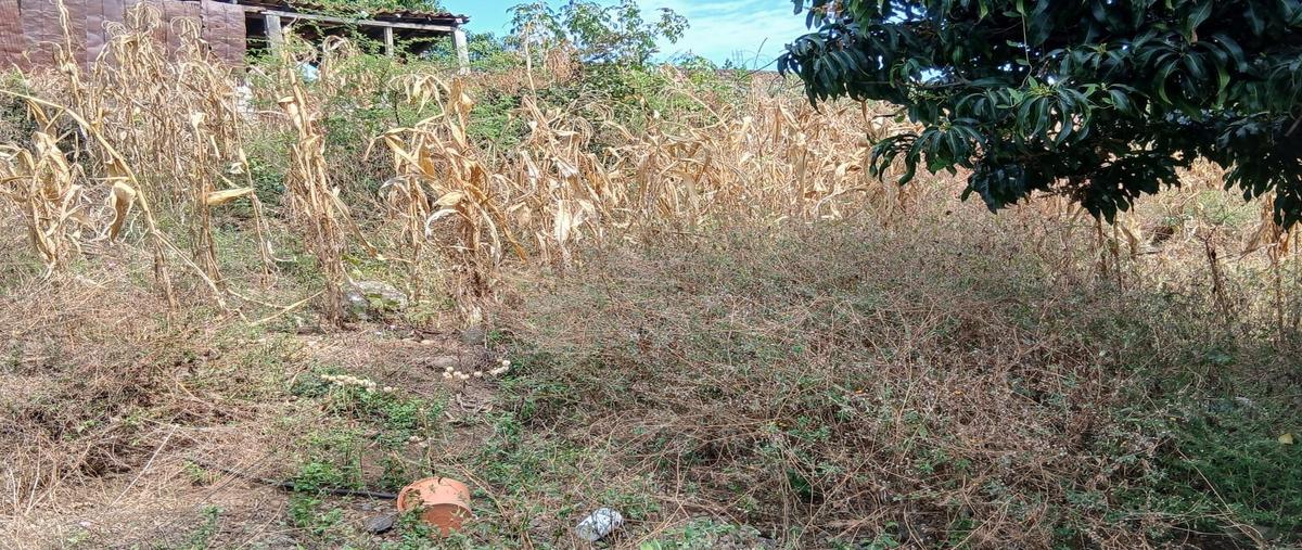 Foto de terreno habitacional en , tonila, tonila, jalisco, 0 foto 05 Foto de terreno habitacional en venta en , tonila, tonila, jalisco, 0 No. 05