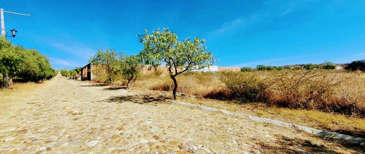 Foto de terreno habitacional en venta en topacio , campestre lomas del sur, romita, guanajuato, 0 No. 04