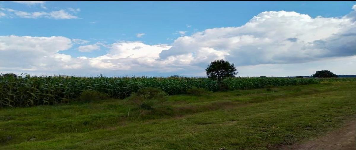 Foto de terreno habitacional en venta en  , topilco de juárez, xaltocan, tlaxcala, 0 No. 03