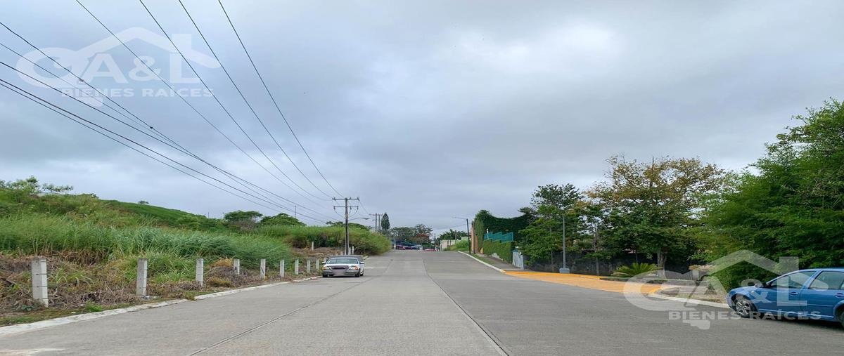 Foto de terreno comercial en venta en  , torre animas, xalapa, veracruz de ignacio de la llave, 27226039 No. 04