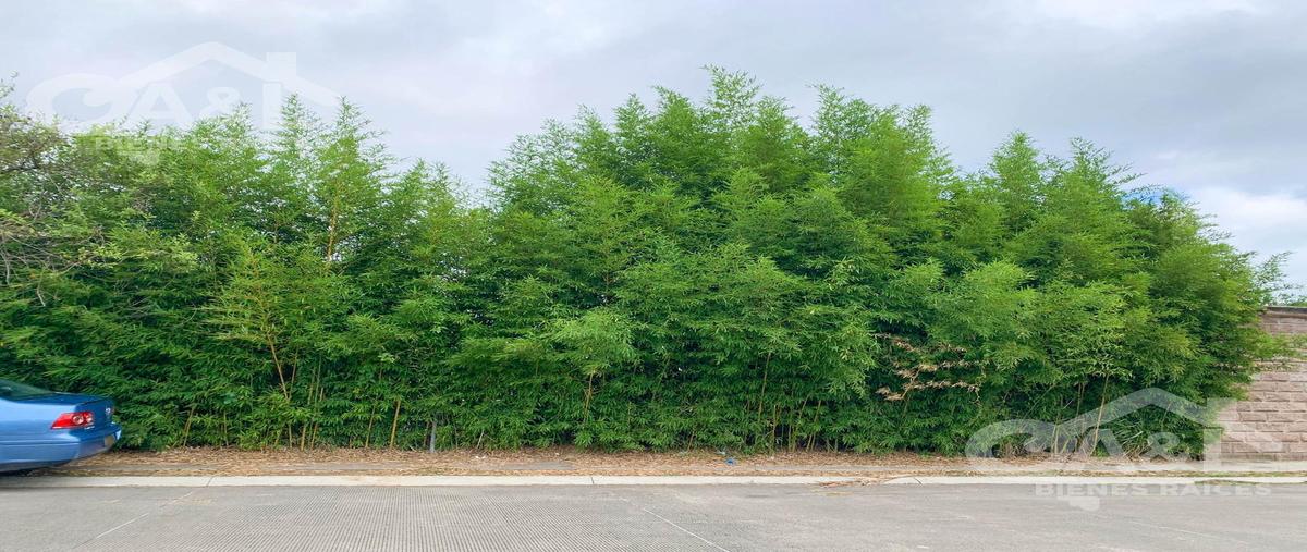 Foto de terreno comercial en venta en  , torre animas, xalapa, veracruz de ignacio de la llave, 27226039 No. 05