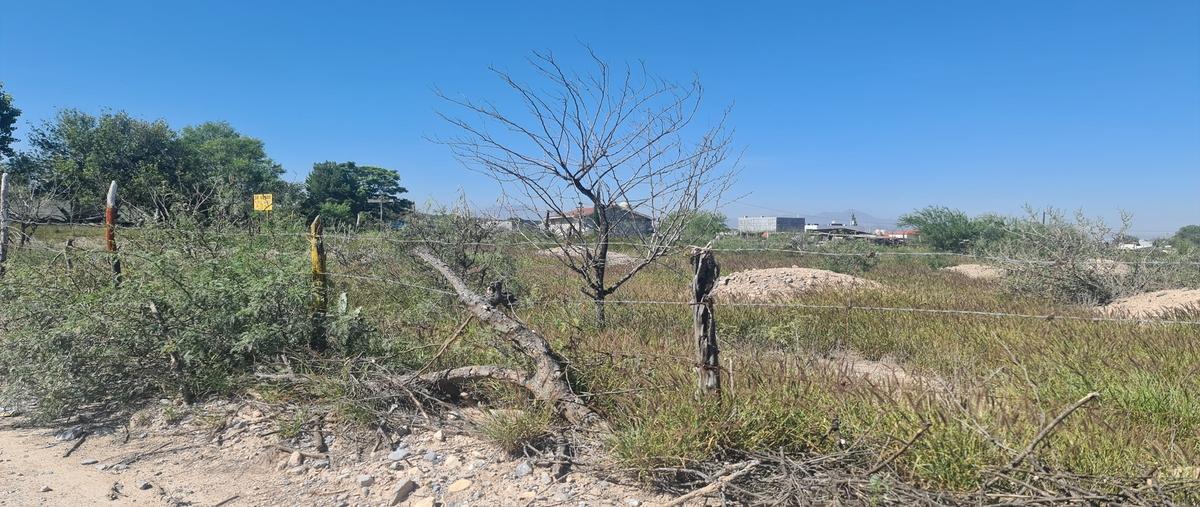 Foto de terreno habitacional en venta en  , torrecillas y ramones, saltillo, coahuila de zaragoza, 26619363 No. 04