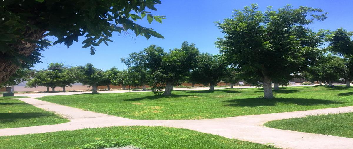 Foto de terreno habitacional en venta en torreón de cañas , la barranca, torreón, coahuila de zaragoza, 25048898 No. 03