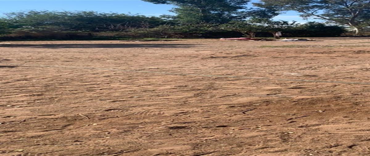 Foto de terreno habitacional en venta en  , torreón, hermosillo, sonora, 27833880 No. 03