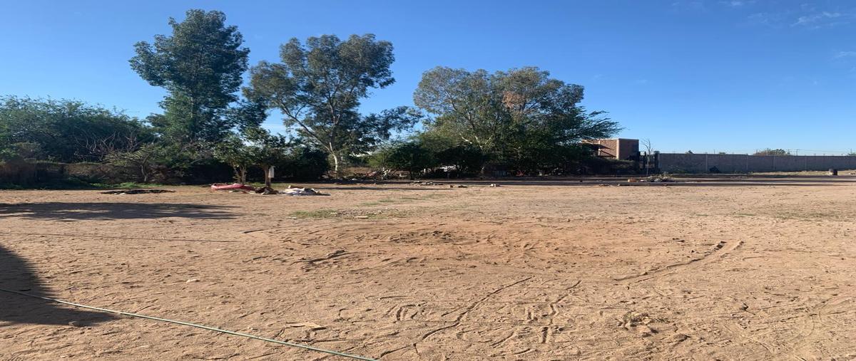 Foto de terreno habitacional en venta en  , torreón, hermosillo, sonora, 27833880 No. 04