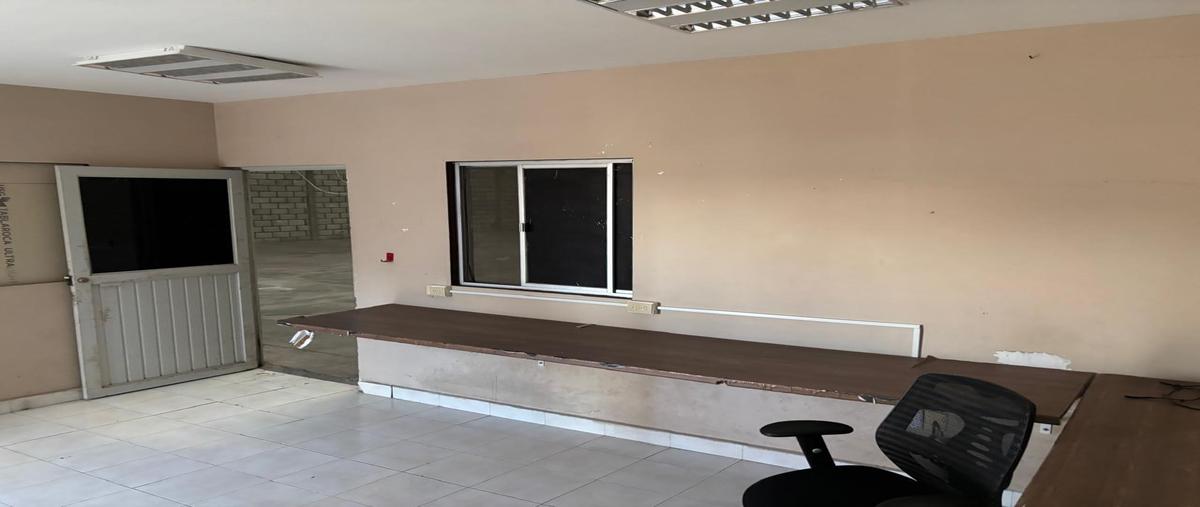 Foto de bodega en renta en  , torreón viejo, torreón, coahuila de zaragoza, 30134651 No. 04