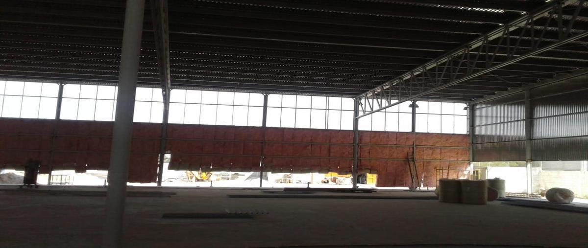 Foto de nave industrial en renta en  , torreón viejo, torreón, coahuila de zaragoza, 0 No. 03
