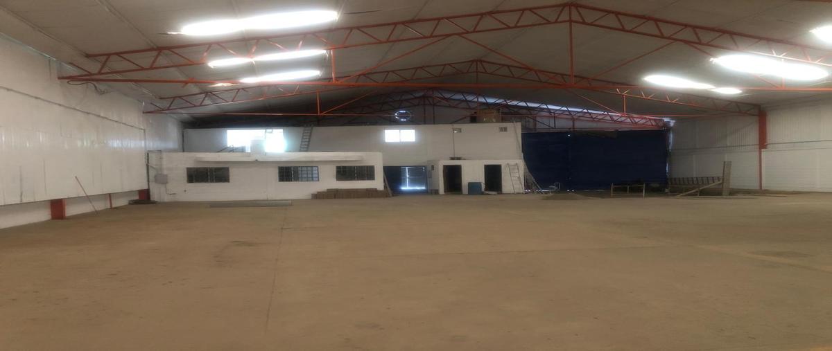 Foto de bodega en renta en  , torreón viejo, torreón, coahuila de zaragoza, 0 No. 05