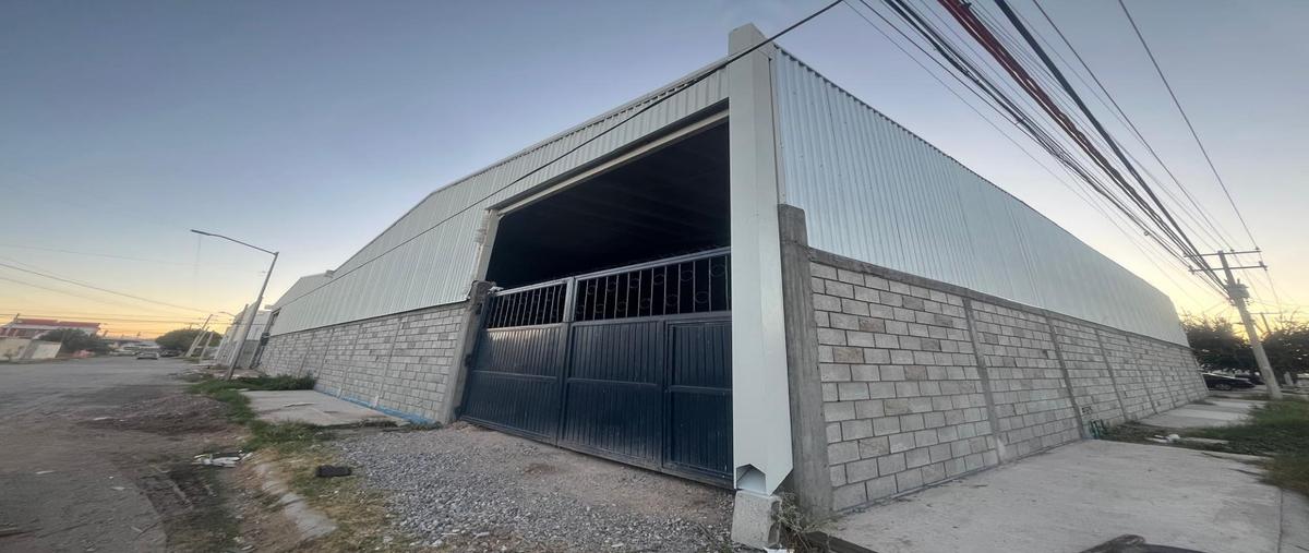 Foto de local en renta en  , torreón viejo, torreón, coahuila de zaragoza, 0 No. 03