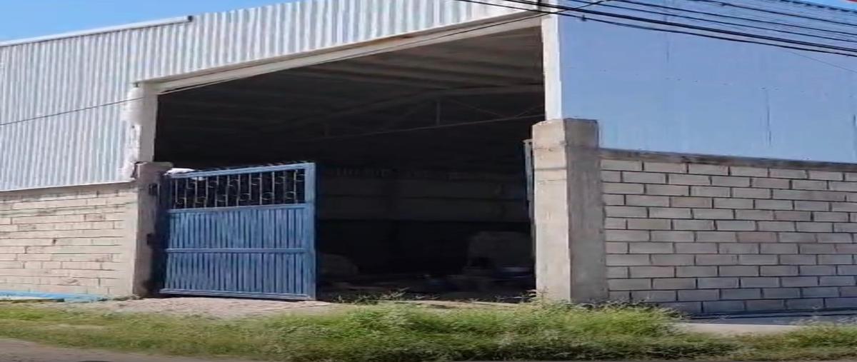 Foto de local en renta en  , torreón viejo, torreón, coahuila de zaragoza, 0 No. 05