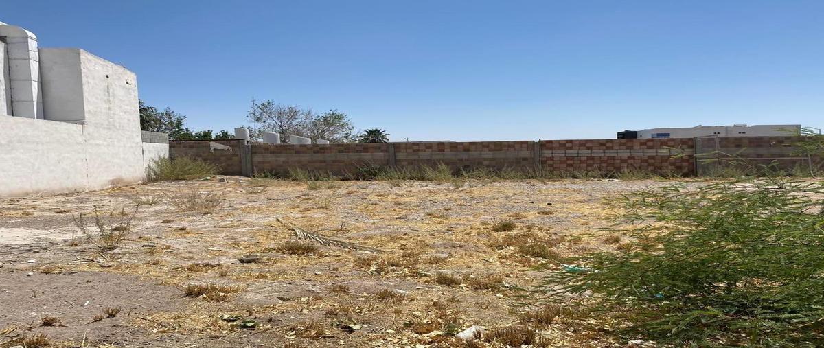 Foto de terreno habitacional en , torreón viejo, torreón, coahuila de zaragoza, 31067871 foto 05 Foto de terreno habitacional en venta en , torreón viejo, torreón, coahuila de zaragoza, 31067871 No. 05