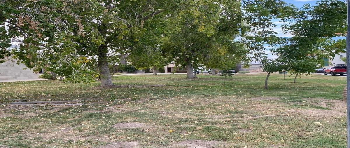 Foto de casa en venta en  , torreón viejo, torreón, coahuila de zaragoza, 0 No. 04