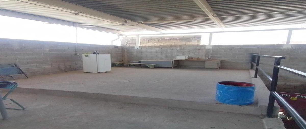 Foto de bodega en , torreón viejo, torreón, coahuila de zaragoza, 31070172 foto 05 Foto de bodega en venta en , torreón viejo, torreón, coahuila de zaragoza, 31070172 No. 05