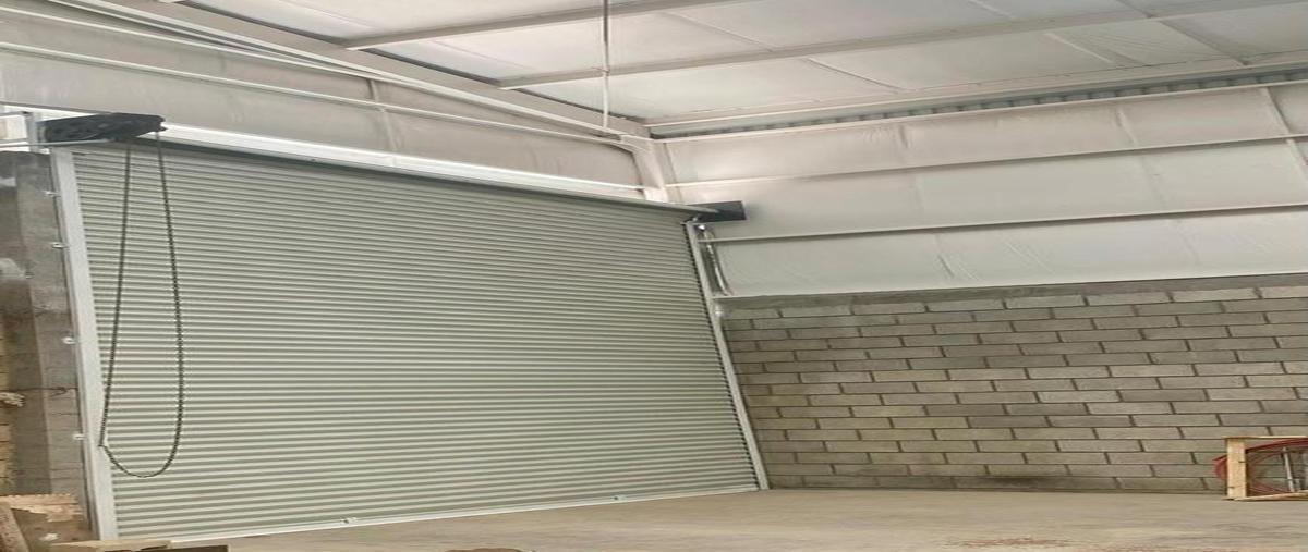 Foto de bodega en renta en  , torreón viejo, torreón, coahuila de zaragoza, 31098210 No. 06