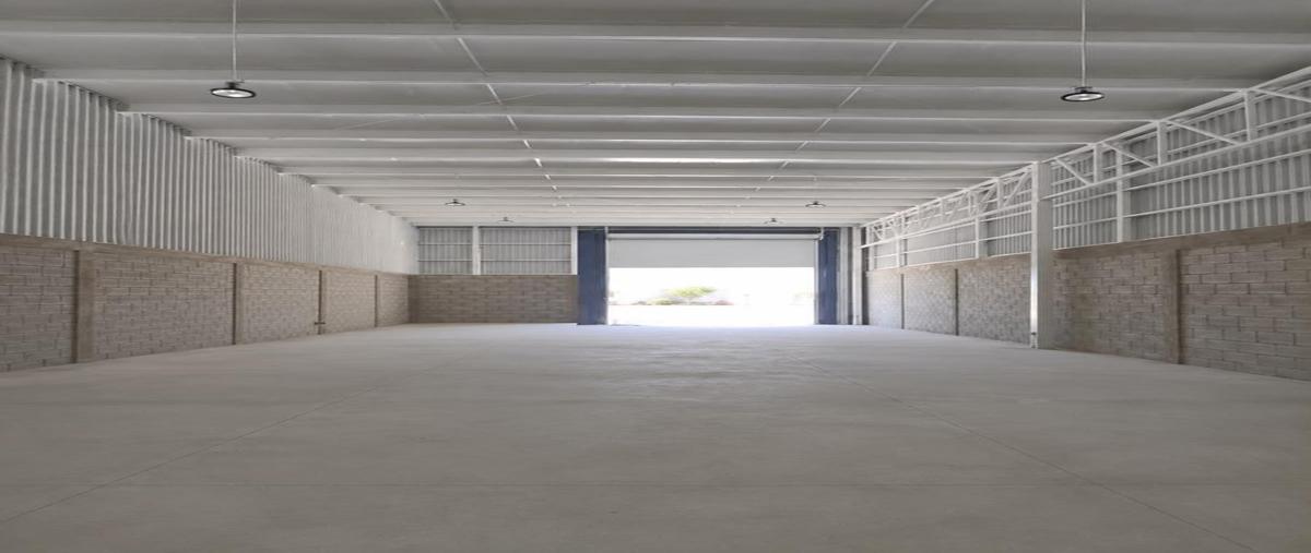Foto de bodega en renta en  , torreón viejo, torreón, coahuila de zaragoza, 0 No. 03
