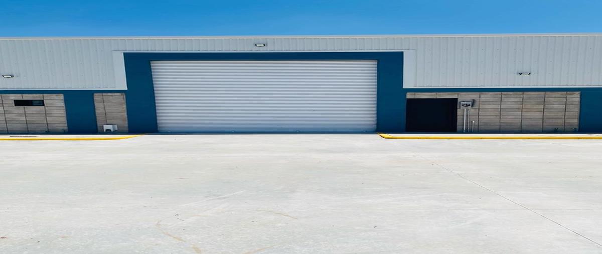 Foto de bodega en renta en  , torreón viejo, torreón, coahuila de zaragoza, 0 No. 04